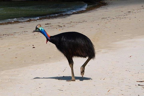 Daintree - Cape Tribulation & Atherton Tablelands Tours From Port Douglas - Hotel Accommodation 17