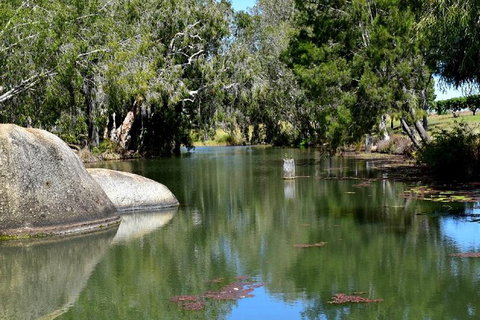Daintree - Cape Tribulation & Atherton Tablelands Tours From Port Douglas - Hotel Accommodation 28