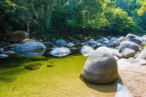 Daintree - Cape Tribulation & Atherton Tablelands Tours From Port Douglas - Hotel Accommodation 6