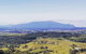 Daintree - Cape Tribulation & Atherton Tablelands Tours From Port Douglas - thumb 10