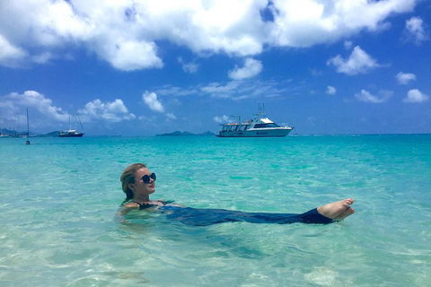 Whitehaven Beach And Hill Inlet | Awesome Beach BBQ | Family Friendly - Hotel Accommodation 3