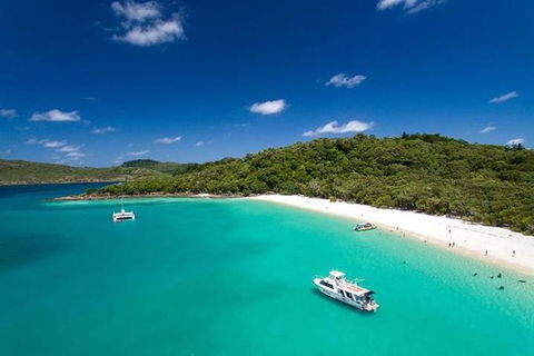 Whitehaven Beach And Hill Inlet | Awesome Beach BBQ | Family Friendly - Hotel Accommodation 10