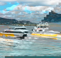 Magnetic Island Round-Trip Ferry From Townsville - Hotel Accommodation