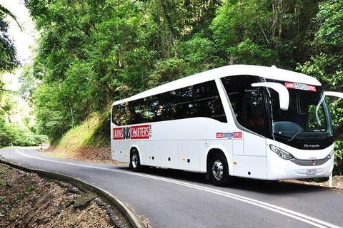 Palm Cove Departure Transfer - Palm Cove To Airport - Hotel Accommodation 1