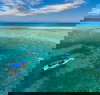 Ocean Safari Great Barrier Reef Experience in Cape Tribulation