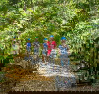 Whitsunday Segway Rainforest Discovery Tour - Hotel Accommodation