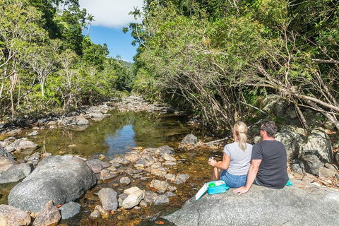 Whitsunday Segway Rainforest Discovery Tour - Hotel Accommodation 4
