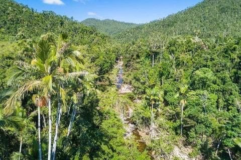 Whitsunday Segway Rainforest Discovery Tour - Hotel Accommodation 5