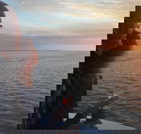 Hervey Bay Sunset Cruise - Hotel Accommodation
