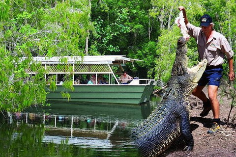 Crocs, Creatures And Culture Tour Ex Cairns - Hotel Accommodation 1