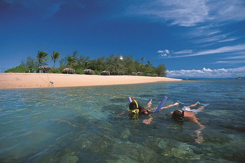 Mossman Gorge Dreamtime Walk And Low Isles Snorkeling And Sailing Cruise - Hotel Accommodation 1