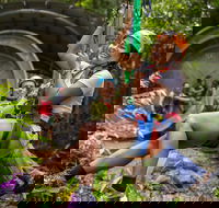 Cape Tribulation Jungle Surfing Canopy Tour