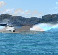 Whitsundays Whale Watching Cruise from Airlie Beach - Hotel Accommodation