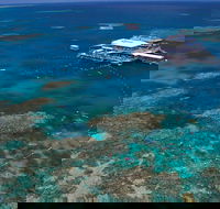 Quicksilver Outer Great Barrier Reef Snorkel Cruise from Port Douglas - Hotel Accommodation