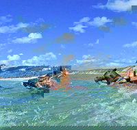 Horse Swimming Ride from Rainbow Beach - Hotel Accommodation