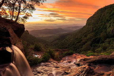 O\'Reilly\'s & Lamington National Park Incl. Alpaca Farm + Vineyard - Hotel Accommodation 6