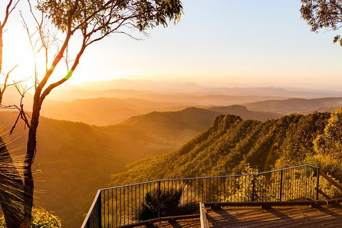 O\'Reilly\'s & Lamington National Park Incl. Alpaca Farm + Vineyard - Hotel Accommodation 3
