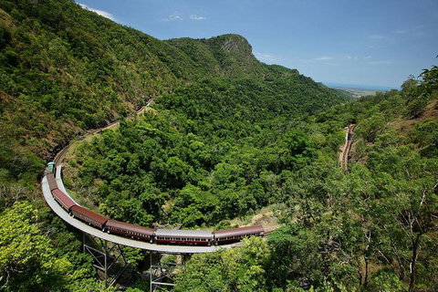 Skyrail Rainforest Cableway Day Trip From Palm Cove - Hotel Accommodation 5