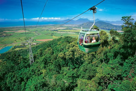 Skyrail Rainforest Cableway Day Trip From Palm Cove - Hotel Accommodation 3