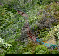 Kuranda Scenic Railway Day Trip from Port Douglas - Hotel Accommodation