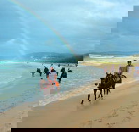Rainbow Beach Horse Ride - Hotel Accommodation