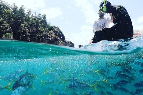 2 Night Small Group Whitsundays Sailing Adventure Aboard Mandrake - Hotel Accommodation 2