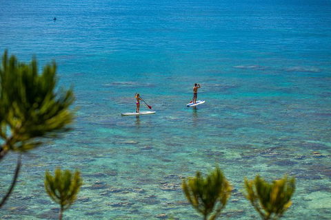 2-Night Whitsundays Sailing Adventure: Whitsunday Getaway - Hotel Accommodation 8