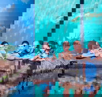 Reef HQ Great Barrier Reef Aquarium General Entry Ticket - Hotel Accommodation