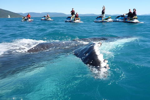 Whitsundays Jet Ski Tour - Hotel Accommodation 20