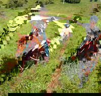 Country Day Ride from Mt Goomboorian with Rainbow Beach Horse Rides - Hotel Accommodation