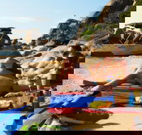 Orpheus Island Day Trip by Helicopter from Townsville - Hotel Accommodation