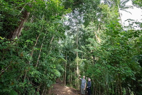 Whitsundays Tropical Rainforest, Waterfalls And Airlie Beach Eco Experience - Hotel Accommodation 1