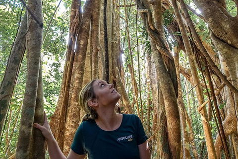 Whitsundays Tropical Rainforest, Waterfalls And Airlie Beach Eco Experience - Hotel Accommodation 14