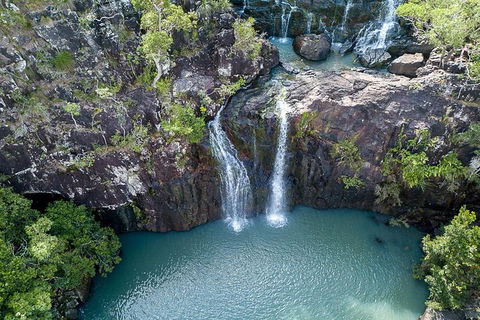 Whitsundays Tropical Rainforest, Waterfalls And Airlie Beach Eco Experience - Hotel Accommodation 13