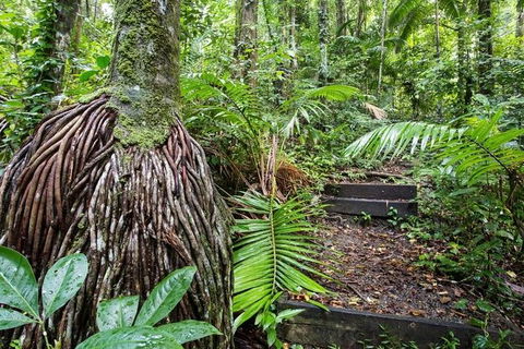 Whitsundays Tropical Rainforest, Waterfalls And Airlie Beach Eco Experience - Hotel Accommodation 7