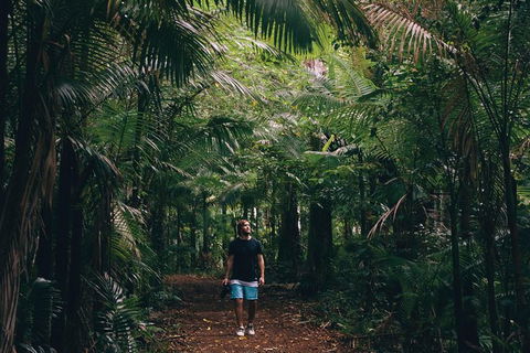 Whitsundays Tropical Rainforest, Waterfalls And Airlie Beach Eco Experience - Hotel Accommodation 5
