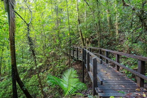 Whitsundays Tropical Rainforest, Waterfalls And Airlie Beach Eco Experience - Hotel Accommodation 3