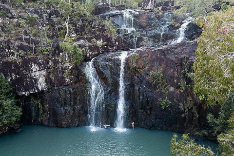 Whitsundays Tropical Rainforest, Waterfalls And Airlie Beach Eco Experience - Hotel Accommodation 9