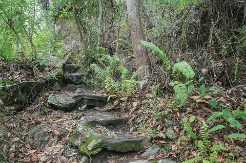 Whitsundays Tropical Rainforest, Waterfalls And Airlie Beach Eco Experience - Hotel Accommodation 16