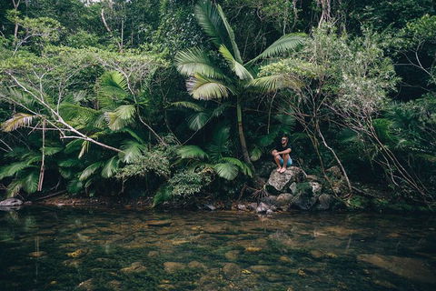 Whitsundays Tropical Rainforest, Waterfalls And Airlie Beach Eco Experience - Hotel Accommodation 2