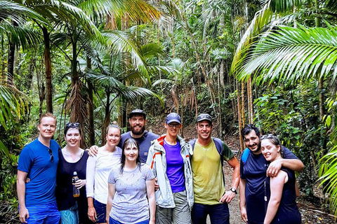 Whitsundays Tropical Rainforest, Waterfalls And Airlie Beach Eco Experience - Hotel Accommodation 15
