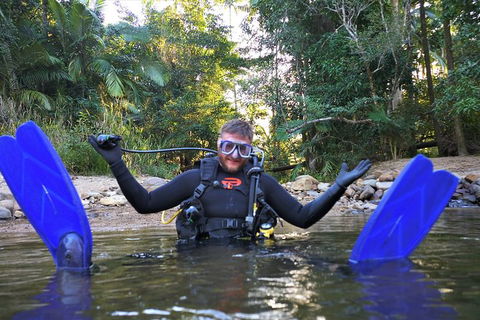 Rainforest Platypus Night Dive (Certified Divers Only Once Day Dive Completed) - Hotel Accommodation 10