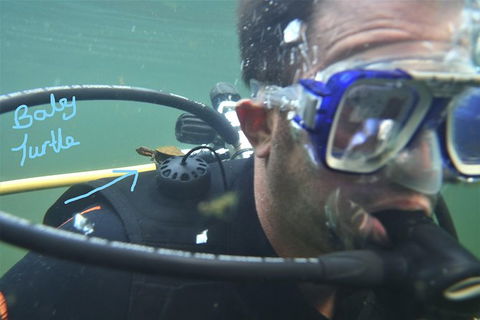Rainforest Platypus Night Dive (Certified Divers Only Once Day Dive Completed) - Hotel Accommodation 4