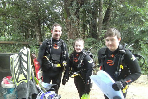 Rainforest Platypus Night Dive (Certified Divers Only Once Day Dive Completed) - Hotel Accommodation 8