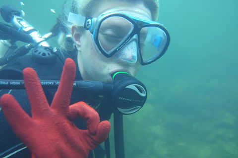 Rainforest Platypus Night Dive (Certified Divers Only Once Day Dive Completed) - Hotel Accommodation 5