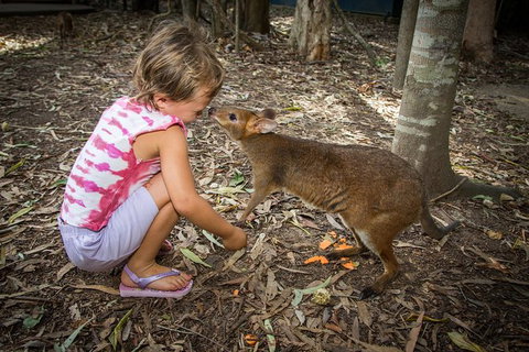 Hartley's Crocodile Adventures Day Trip From Cairns - Hotel Accommodation 1