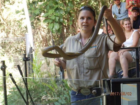 Hartley's Crocodile Adventures Day Trip From Cairns - Hotel Accommodation 6