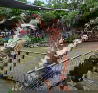 Hartley's Crocodile Adventures Day Trip from Cairns - Hotel Accommodation
