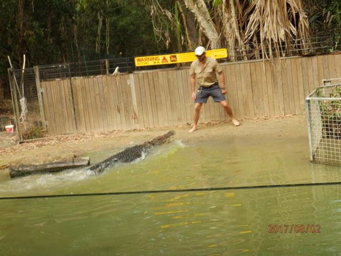 Hartley's Crocodile Adventures Day Trip From Cairns - Hotel Accommodation 8