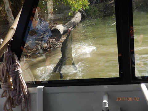 Hartley's Crocodile Adventures Day Trip From Cairns - Hotel Accommodation 5